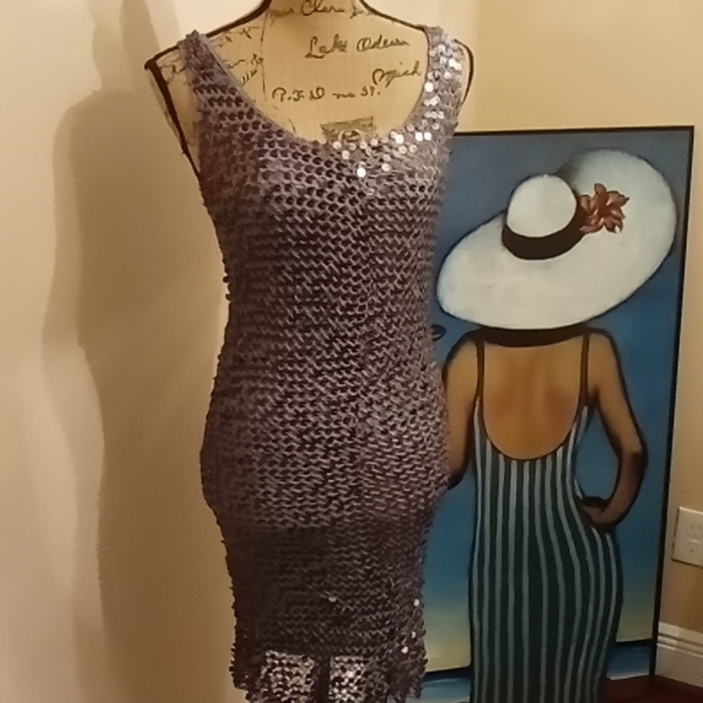 Arden B Sequin Net Dress